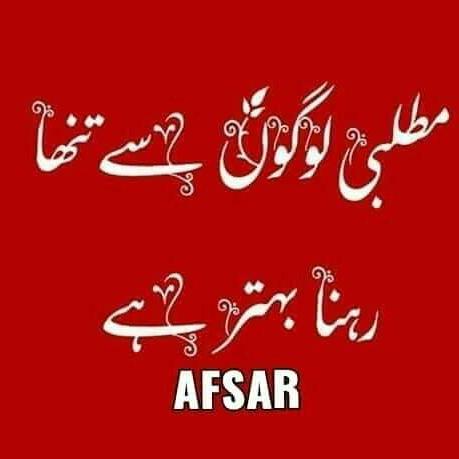 ?مطلبی دنیا ❤ مطلبی یار?