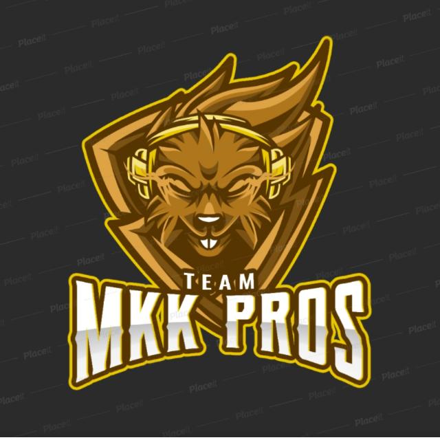 BGMI T3/T2 SCRIMS❤️?