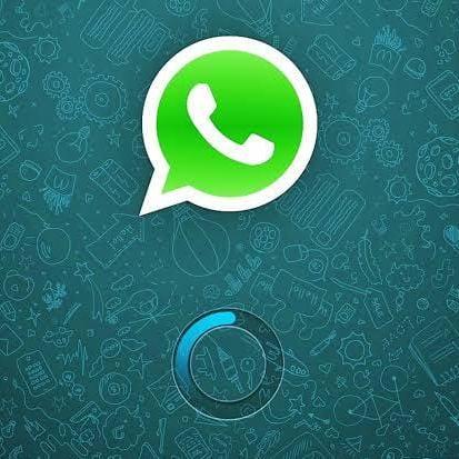 WHATSAPP JOB O1??