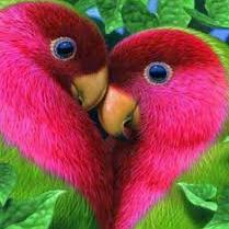 ❤️Love of today?‍❤️‍?