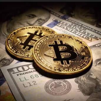 شركة بيتكوين للاستثمار المحدودة