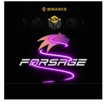Forsege team members