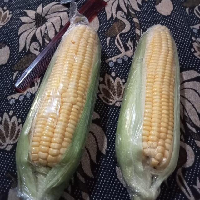 தமிழ் வீடியோ அழைப்பு சேவை உள்ளது 