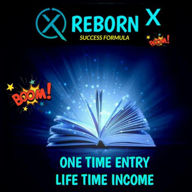 ?Rebonex Money Earning ??