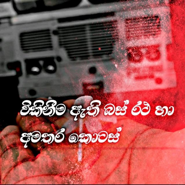 Wikinimata _athi_bus