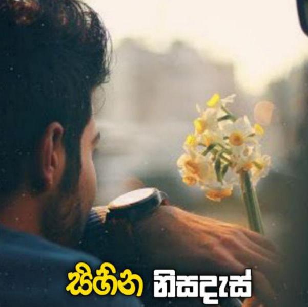 සිහින නිසදැස්❤️??