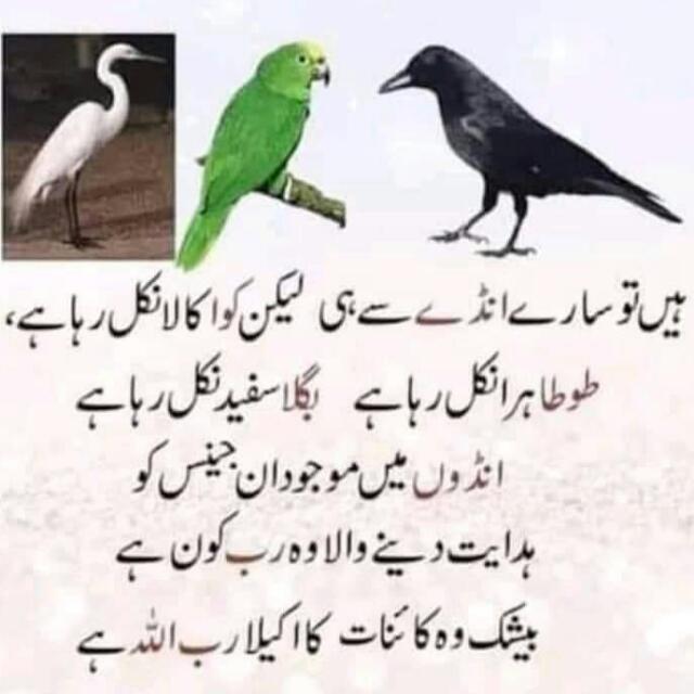 Permissionto dence Whatsapp group