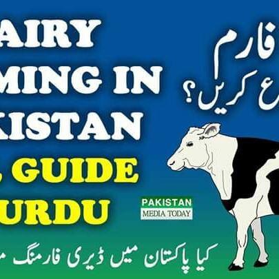 Jadeed dairy farming