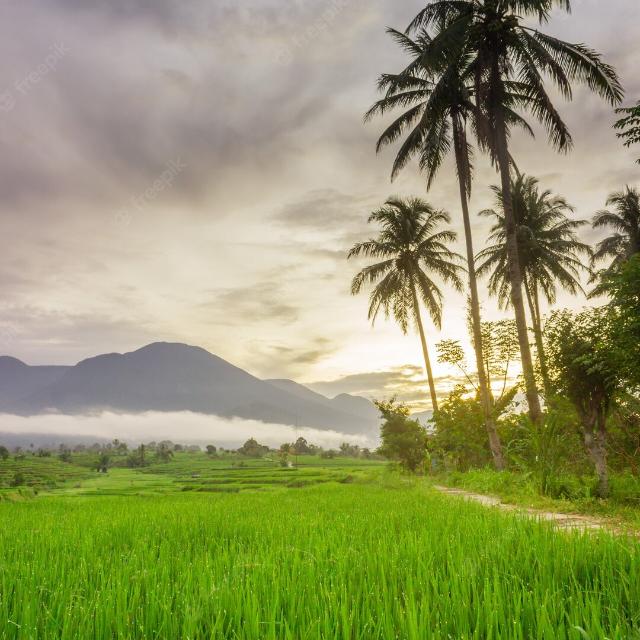 മലയാളി