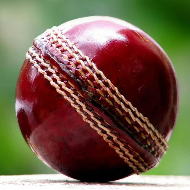 Cricket Fever??