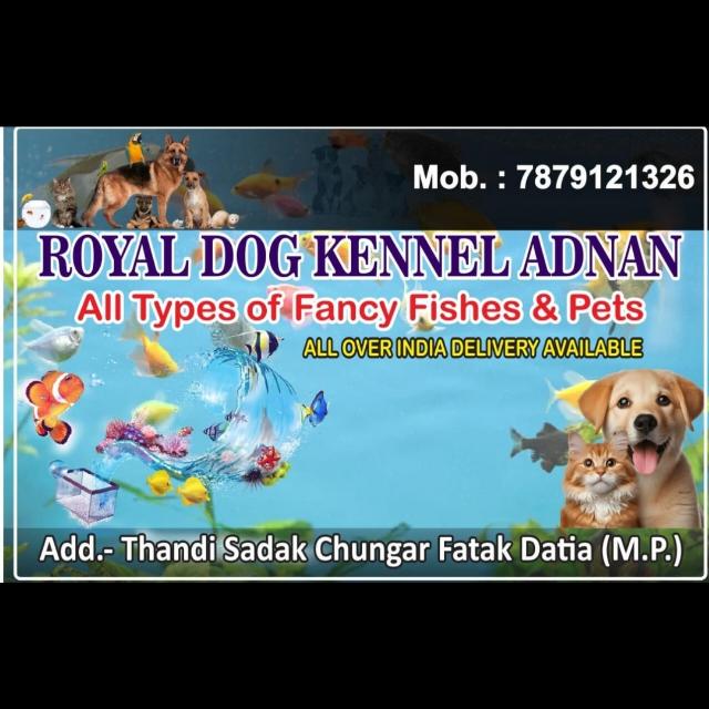 ??  ROYAL _ DOG _ KENNEL _ ADNAN ?
