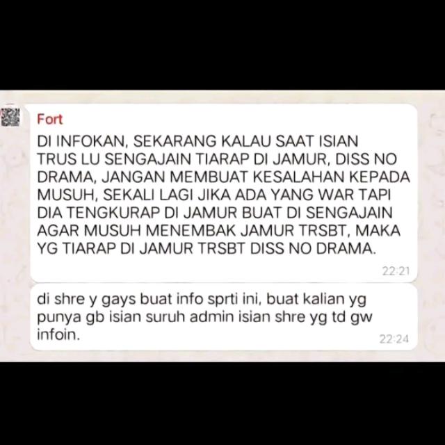 33 5 91 Whatsapp group