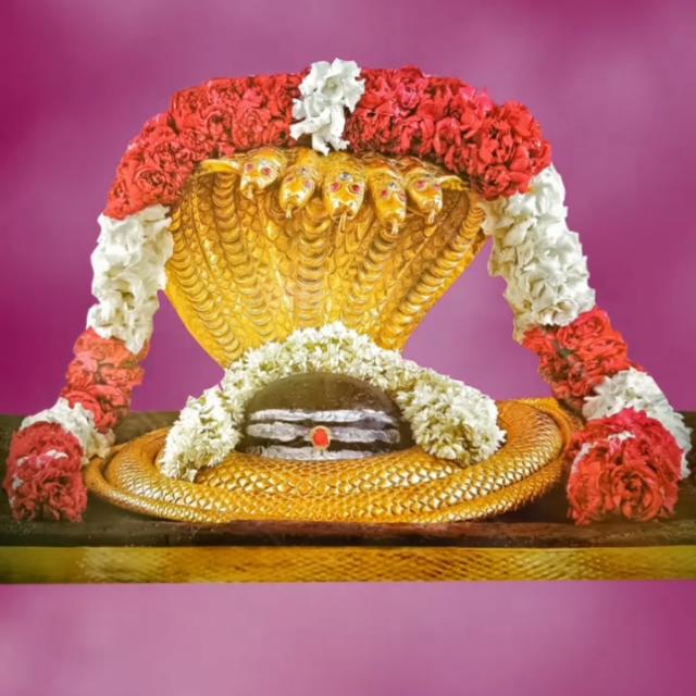 ?️ శ్రీశైలం దేవస్థానం ?