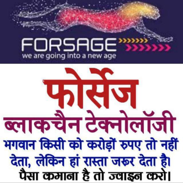 ? FORSAGE BUSD PLAN???