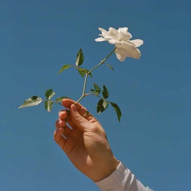 سِـــتّـــمِ عـــشــق ?