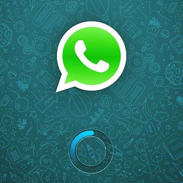 WHATSAPP JOB B1??