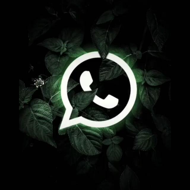 ? ? ? ? ? ? ♨️