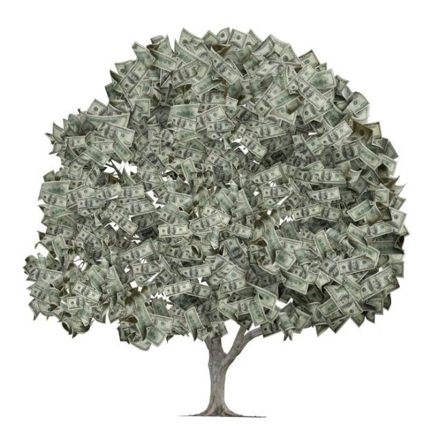 MONEY EARINING 2023 ?