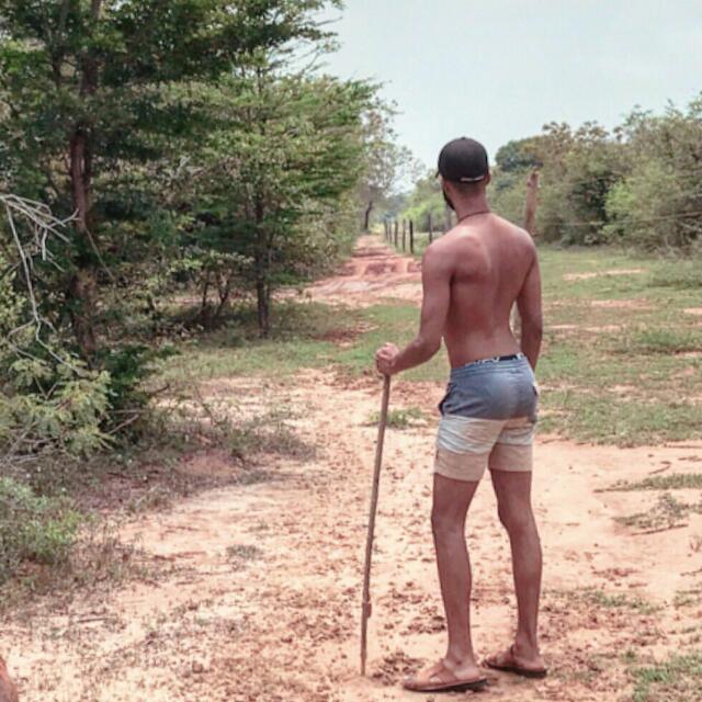 ? ජංගල් කොලු සවාරි ?
