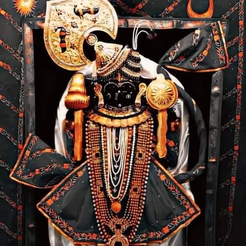 ?જય દ્વારિકાધીશ?