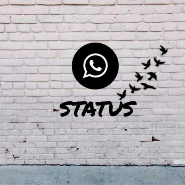 ??~~ᴛɪᴋ ᴛᴏᴋ ꜱᴛᴀᴛᴜꜱ ᴡᴏᴜʟᴅ???