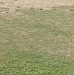 ভাবি লাভার