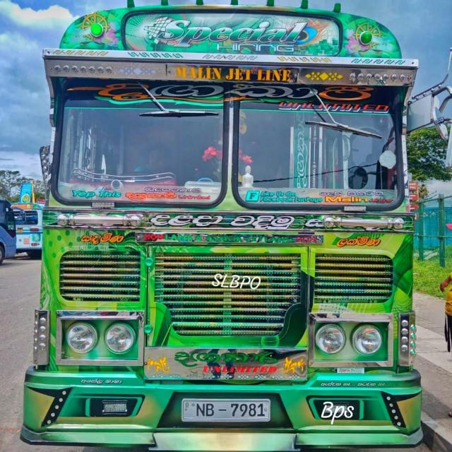 __Sl____bus____kingdom__