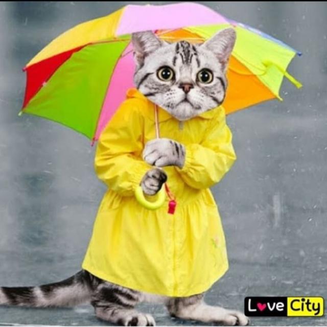 නමක් නෑ?✨?