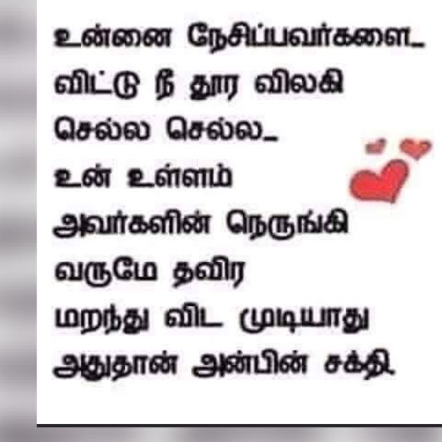 தமிழ் தேன்!