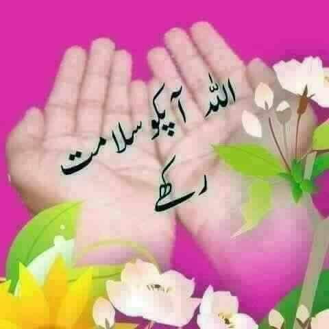 All the Islami group
