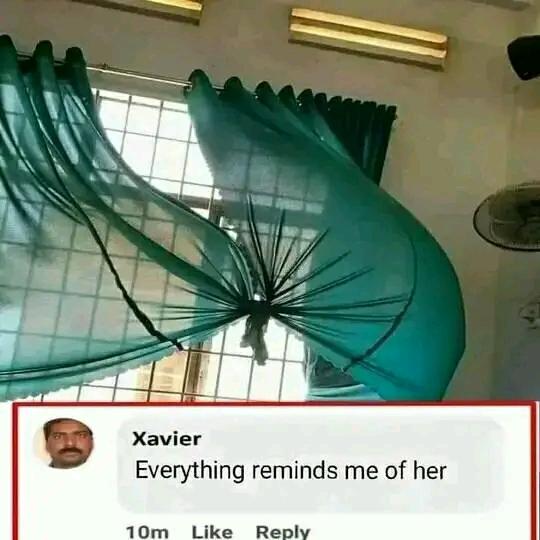 Memes+ ??