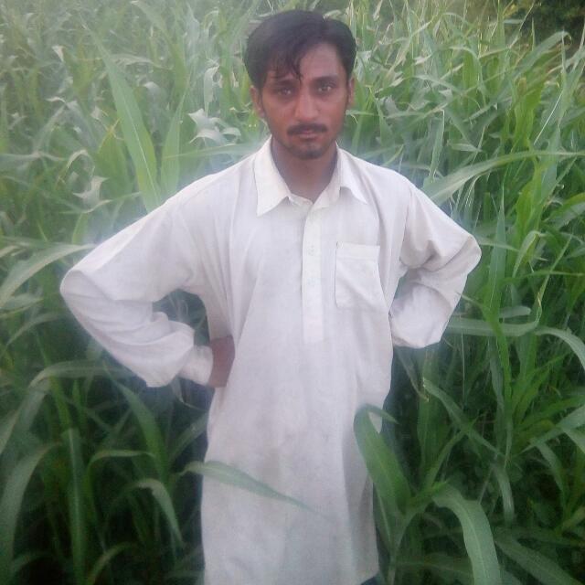 Saleem Whatsapp group