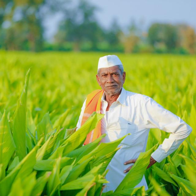 ?शेतकरी ग्रुप महाराष्ट्र राज्य?