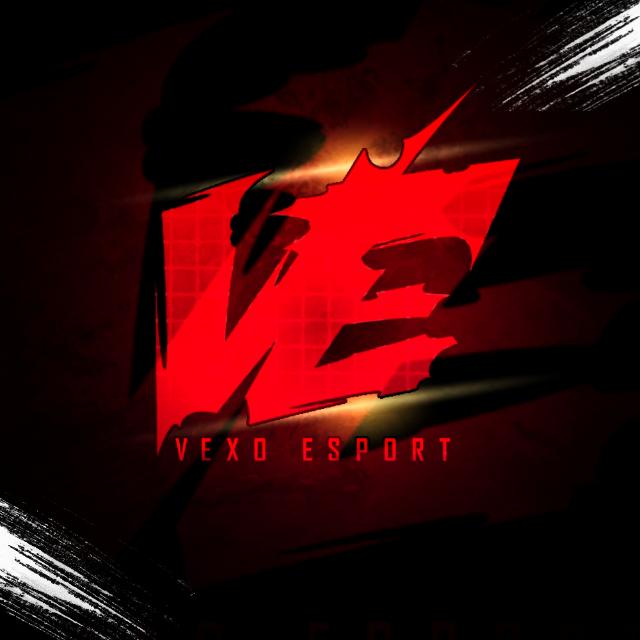 VEXO PAID SCRIMS ¹