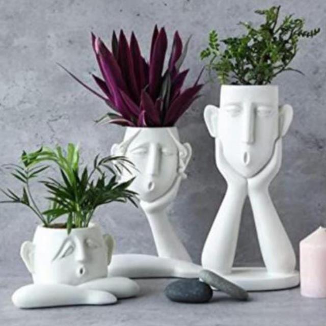 ?️GARDEN SHOP?️