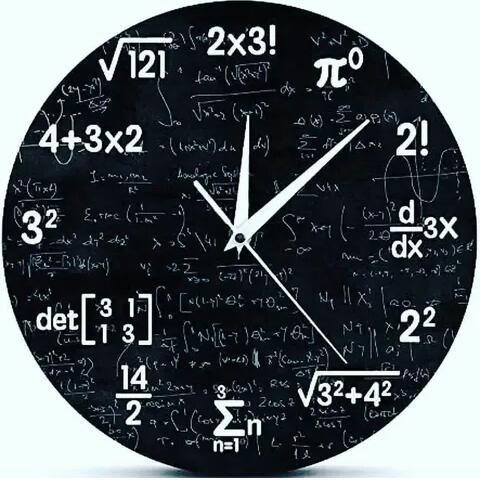Only study ?