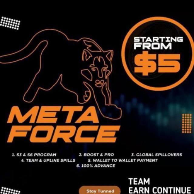 Meta Force Online busines