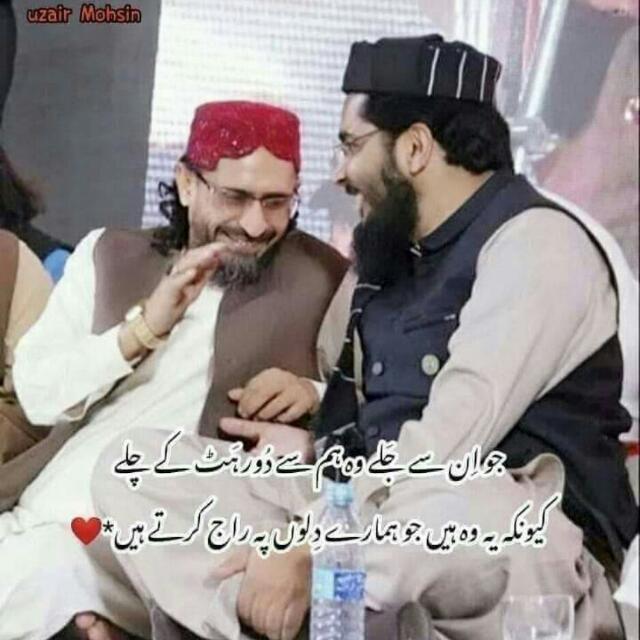 گروپ ختم کردیا گیاہے
