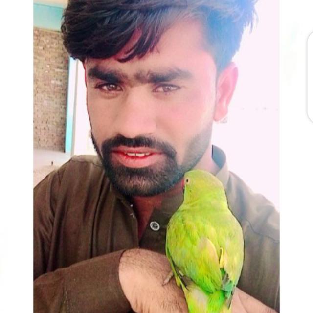 Willy2 Whatsapp group