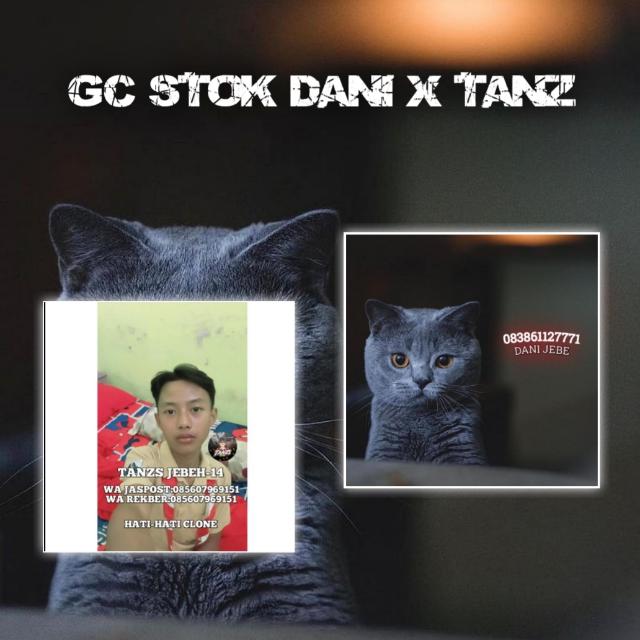 STOK DANI X TANZ