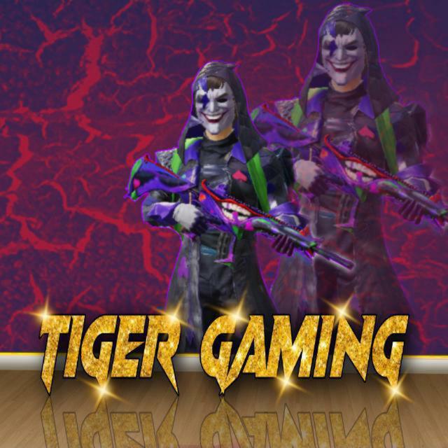 ?TIGER GAMING STORE?((10))