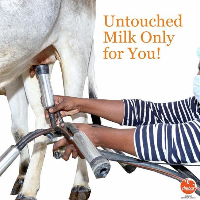 ?Milk?home?delivery❤️