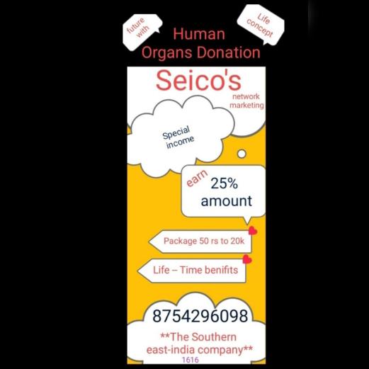 Seico -network 13 company