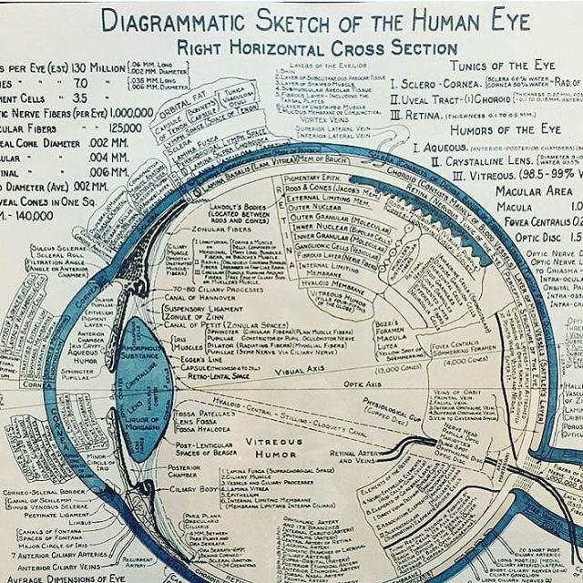 Vision.World?