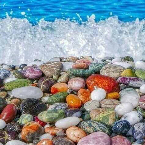 ALL LEFT Whatsapp group