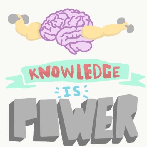 Knowledge Fever