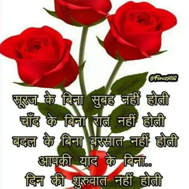 Follow 4 follow 