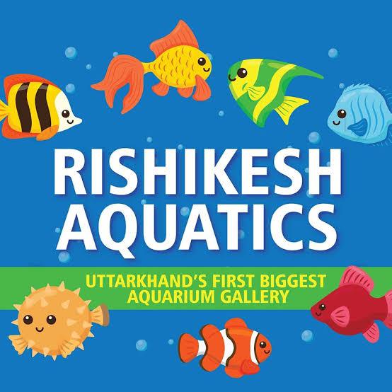 Rishikesh Aquatics Whatsapp group