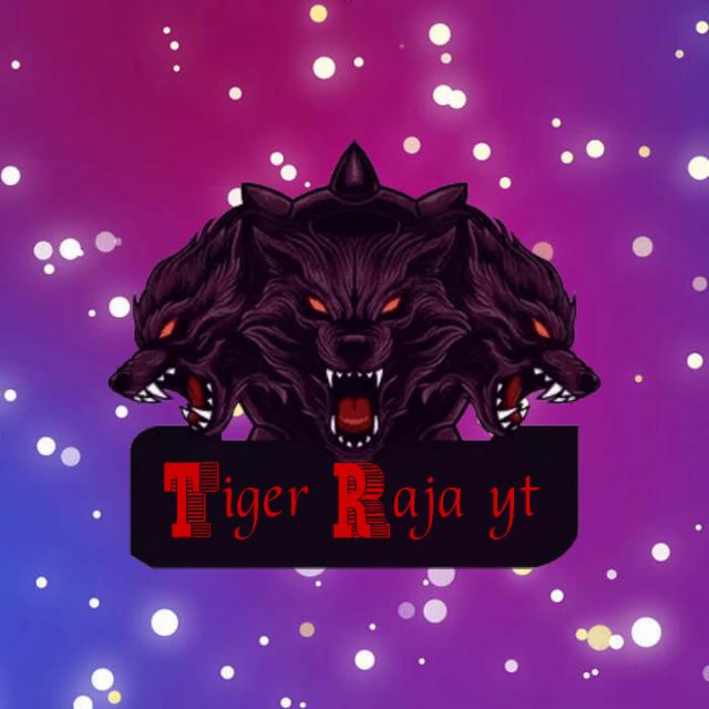 Tiger Raja Paytm Earning?