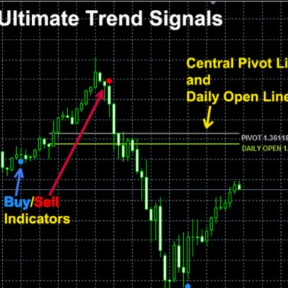 Forex Comex Paid Signals Whatsapp group